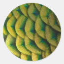 Recherche de paon coloré autocollants Plumes