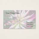 Recherche de dahlia rose cartes visite Botanique