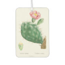 Recherche de cactus intérieur voiture accessoires Floral