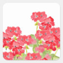 Recherche de geranium autocollants Plante