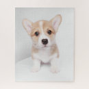 Zoek naar pembroke welsh corgi puzzels Koningin