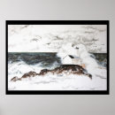 Recherche de mouettes art Gris