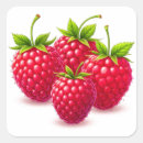Zoek naar gezond eten stickers Fruit