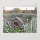 Recherche de chenil invitations Maison