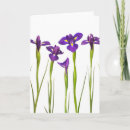 Zoek naar paarse achtergrond kaarten Bloemen