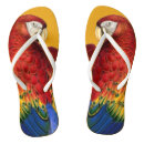 Zoek naar papegaaien slippers Vogels