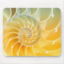 Recherche de coquille nautilus tapis souris Mer