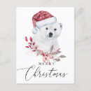 Recherche de ours noël cartes Drôle