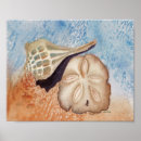 Zoek naar zeeschelpen kunst Bruin