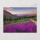 Recherche de crested butte postcards cartes postales Montagnes rocheuses