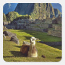 Recherche de machu picchu autocollants Extérieur