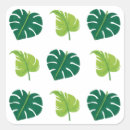 Recherche de plantes vertes autocollants Moderne