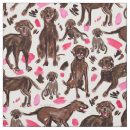 Recherche de chocolat labrador retriever Mignonette