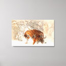 Recherche de faune art Tigre