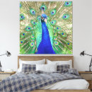 Recherche de paon impressions sur toile Bleu