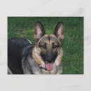 Recherche de mousepads cartes postales Animal