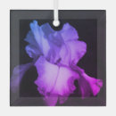 Recherche de iris ornements Fleur