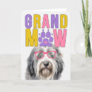 Zoek naar collie hond kaarten Huisdieren