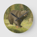 Zoek naar bruin beer kunst Natuur