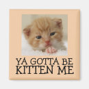 Recherche de funny cat magnete Fridge