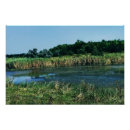 Recherche de écologique posters Environnement