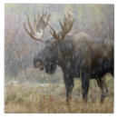 Recherche de teton grand carreaux Arbre