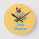 Zoek naar siamese klokken Feliene
