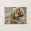 Recherche de primat puzzles Macaque
