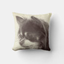 Recherche de de chihuahua coussins Animal