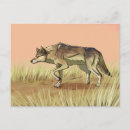 Recherche de de chasse cartes postales Animaux