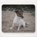 Recherche de jack russell tapis souris Dog