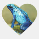 Recherche de grenouille bleue autocollants Nature