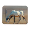 Recherche de 2010 magnets Animal sauvage