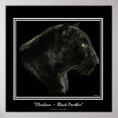 Recherche de panthère art Jaguar noir