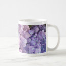 Recherche de hortensias tasses Rose