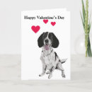 Recherche de springer spaniel vœux cartes Amour
