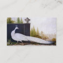 Zoek naar witte pauw visitekaartjes Vogel