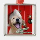 Zoek naar golden retriever kerstmis ornamenten Feestdagen
