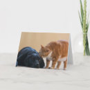 Recherche de charités vœux cartes Délivrance