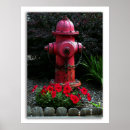Recherche de du feu posters Fleurs