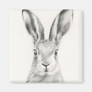 Recherche de borg magnets Dessin