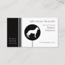 Recherche de de malinois Noir et blanc