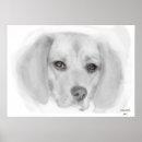 Recherche de dessin beagle posters Mignon