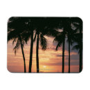 Recherche de allumé magnets Dehors