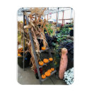 Zoek naar decor magneten Najaar