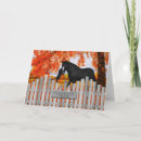 Recherche de chat et cheval vœux cartes Chevaux