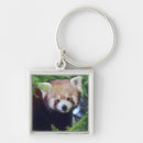 Zoek naar red panda sleutelhangers Wild