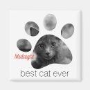 Recherche de empreinte de patte magnets Chat