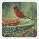 Recherche de cardinal autocollants Oiseaux