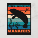 Recherche de lamantins cartes postales Sea